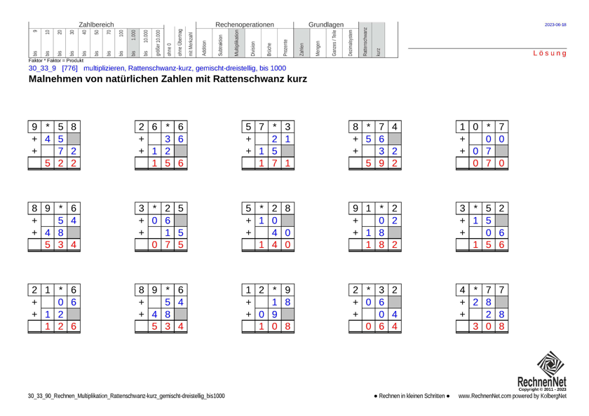 Lösung: 30_33_9 Rechnen Multiplikation Rattenschwanz-kurz gemischt-dreistellig bis1000